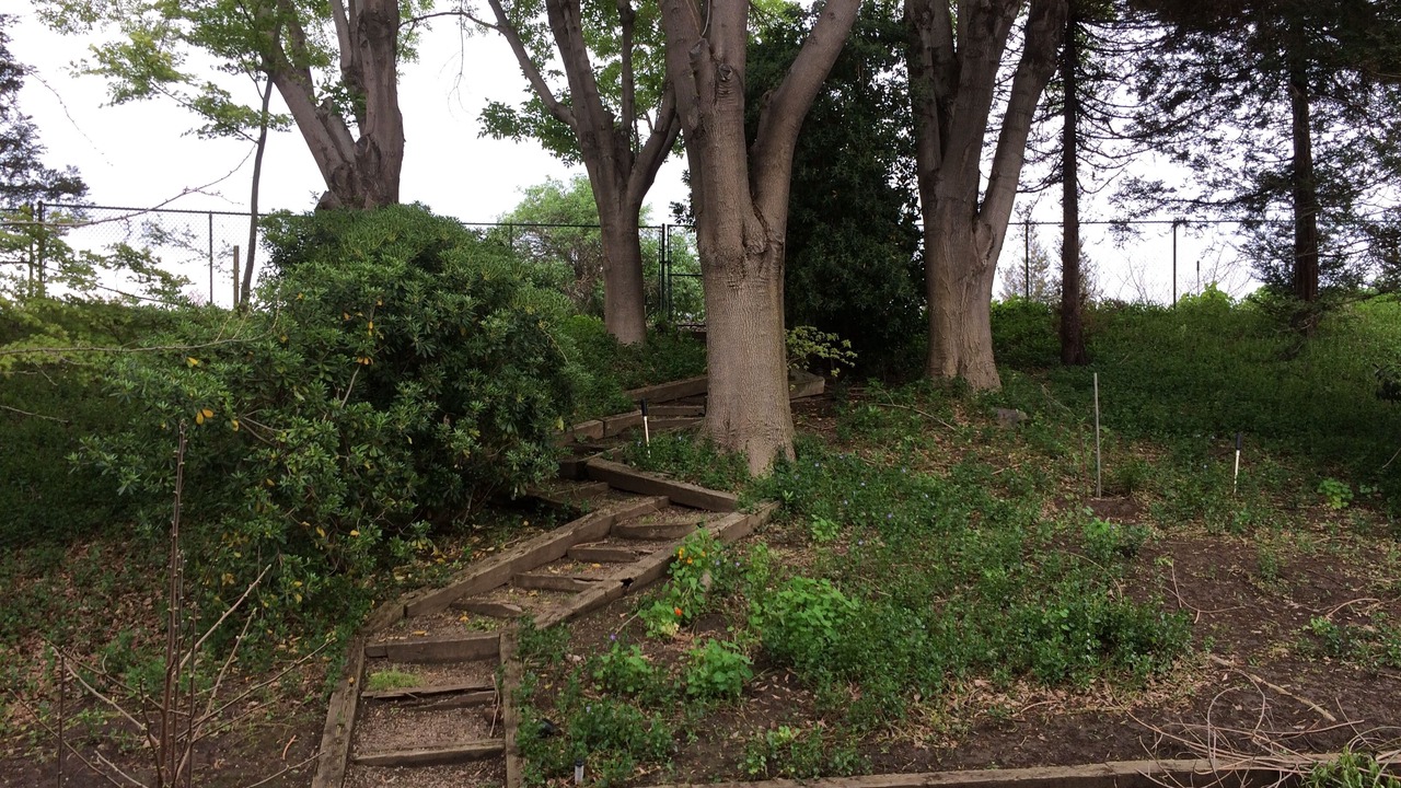 Photo of Outdoor in Stockton