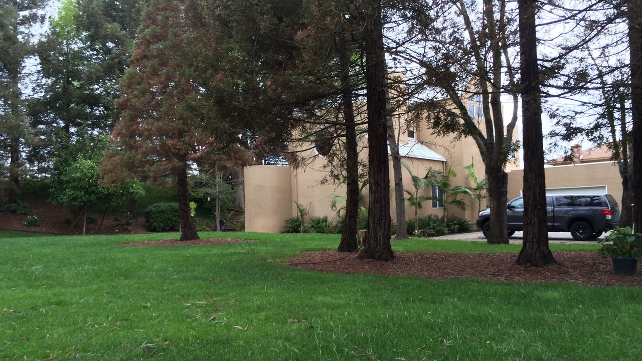 Photo of Outdoor in Stockton