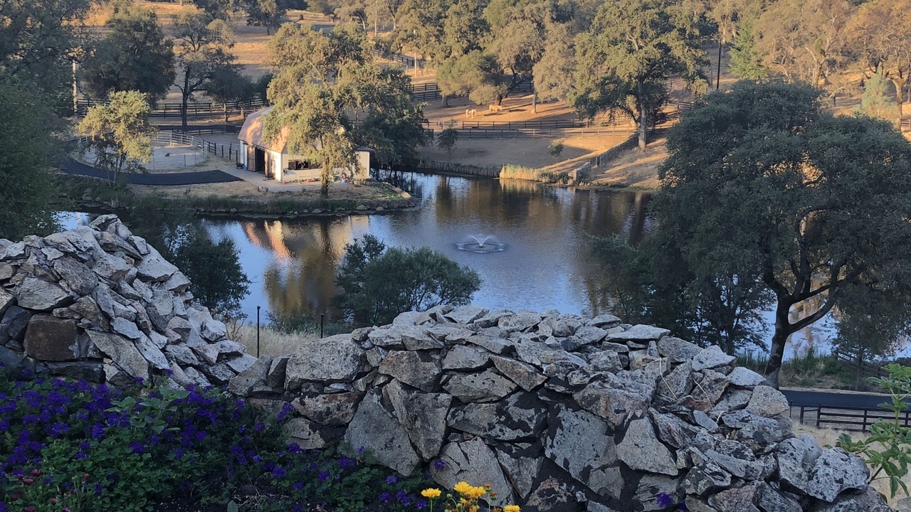 Photo of Outdoor in Penn Valley