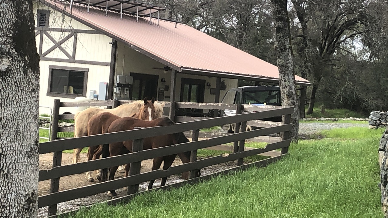 Photo of Outdoor in Penn Valley