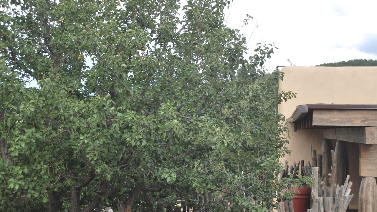 Photo of Others in Historic Eastside