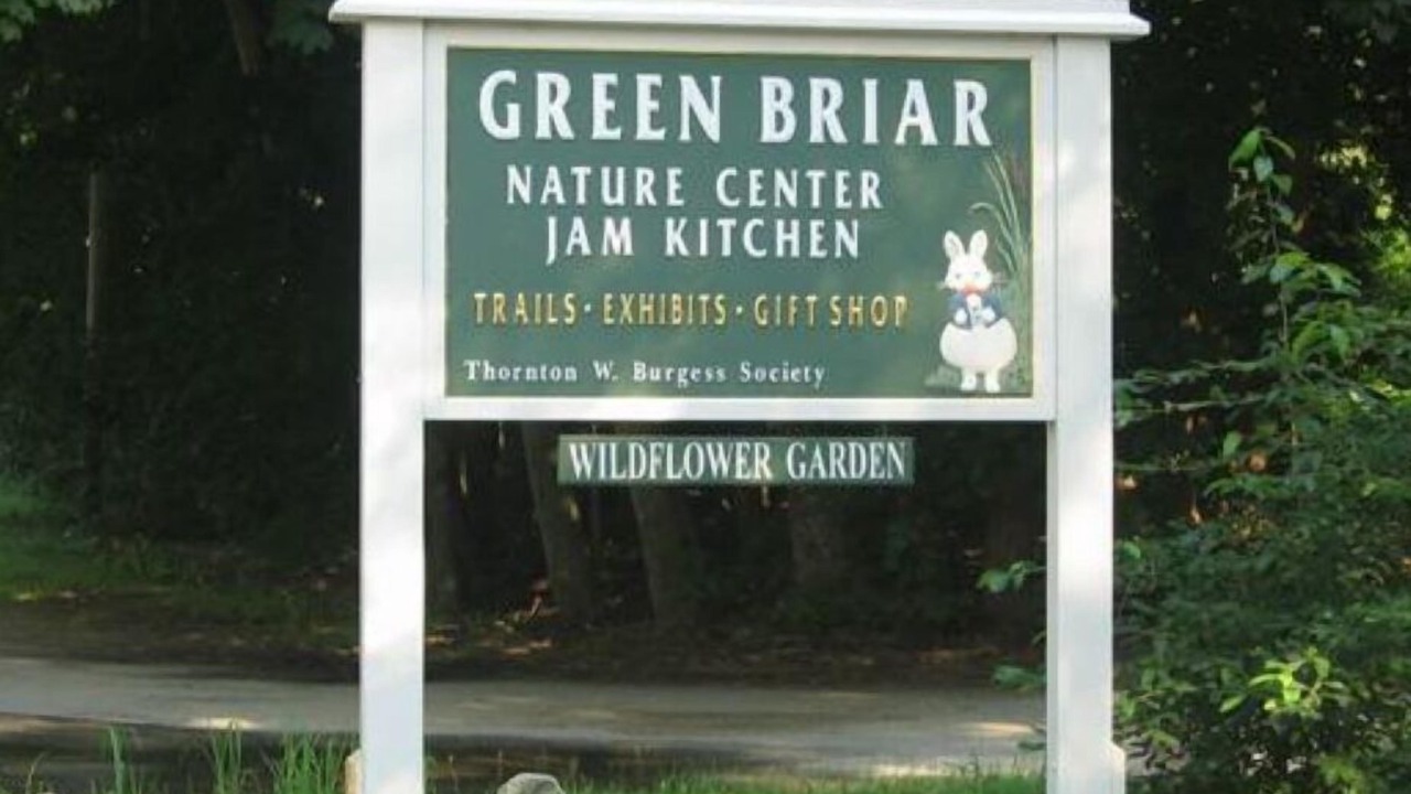 Photo of Outdoor in East Sandwich