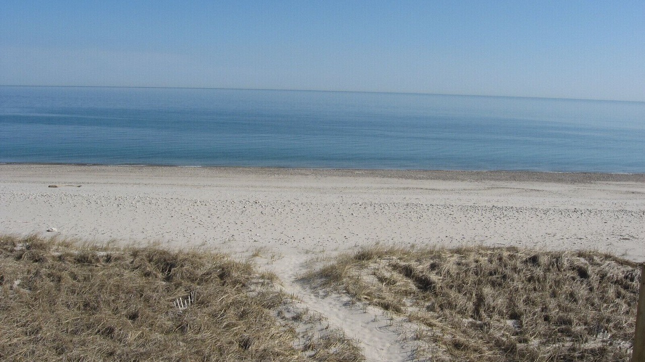 Photo of Others in East Sandwich