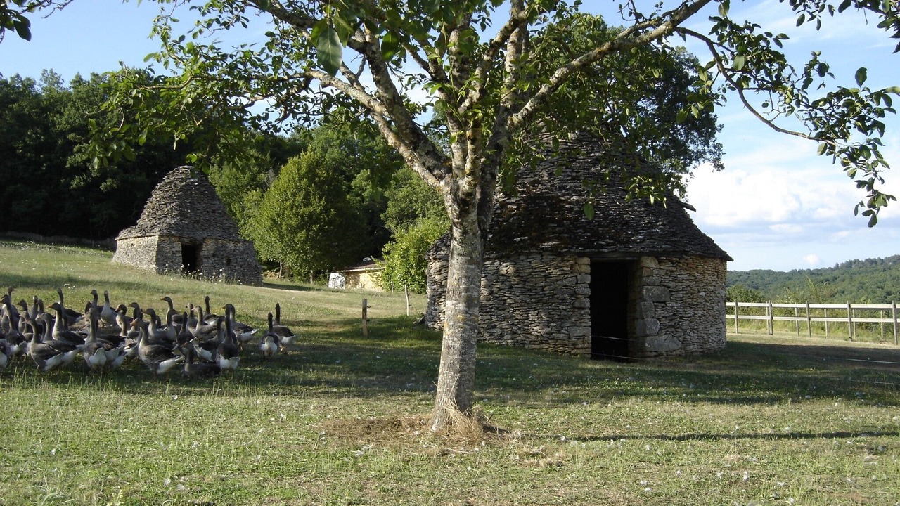 Photo of Outdoor in Berbiguieres
