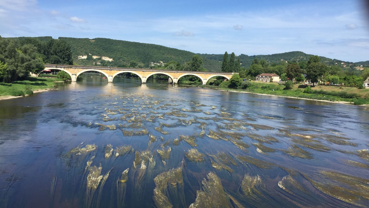 Photo of Outdoor in Berbiguieres