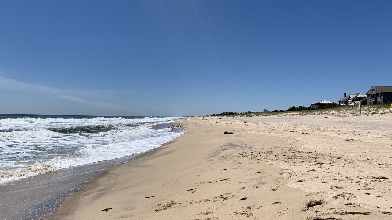 Photo of Others in Beach Hampton