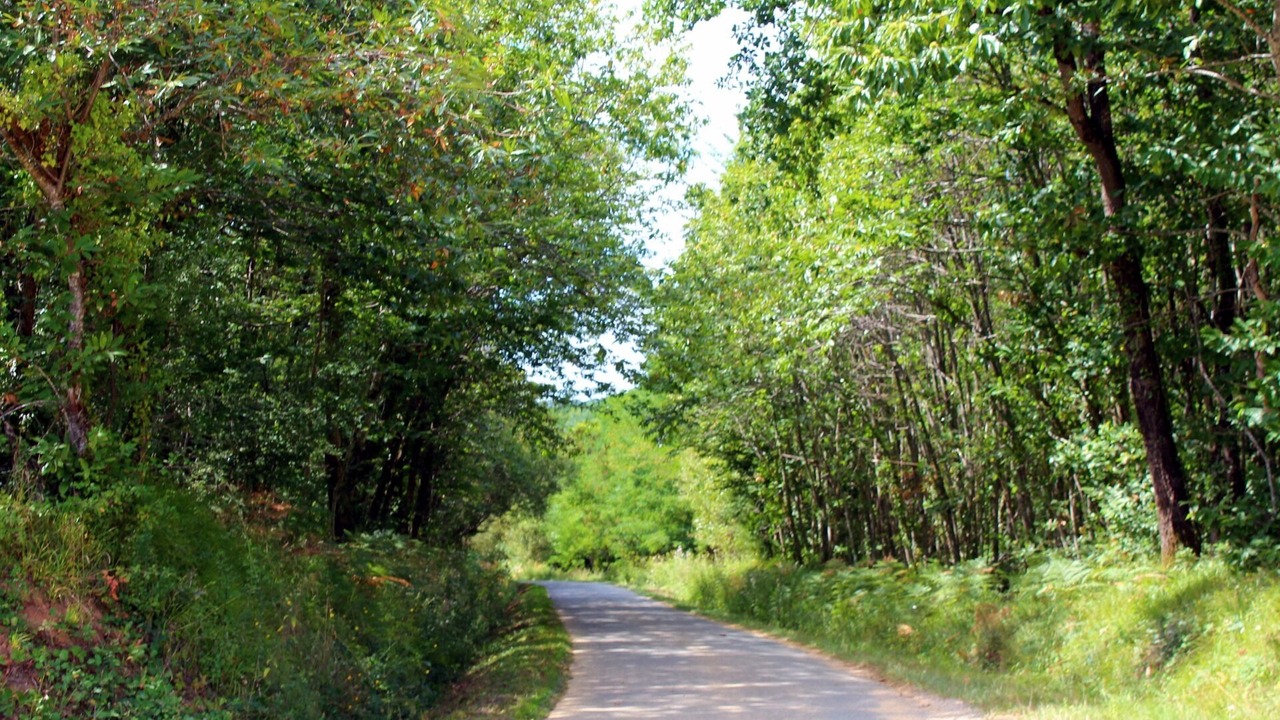 Photo of Outdoor in Blanquefort-sur-Briolance