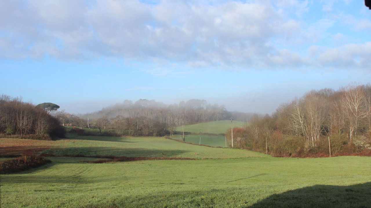Photo of Others in Blanquefort-sur-Briolance