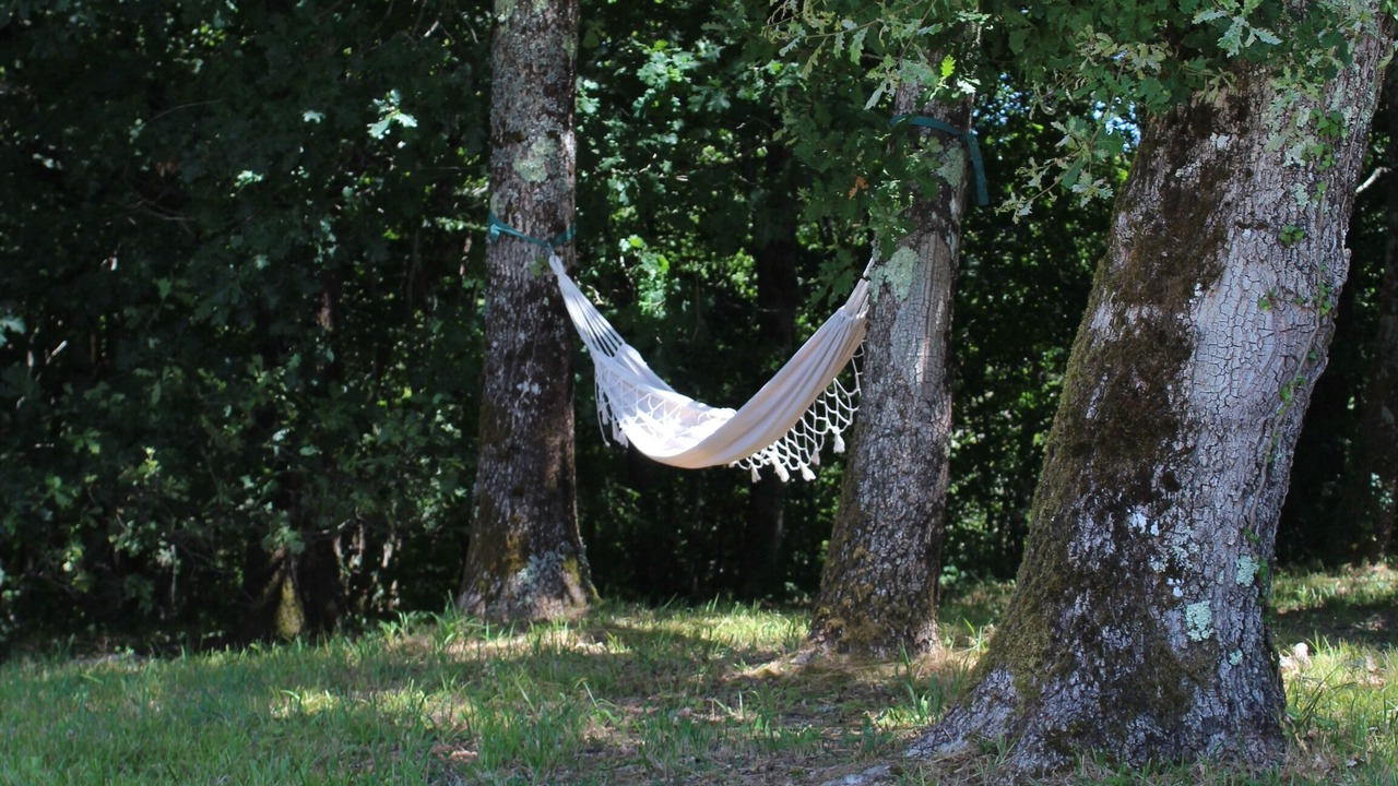 Photo of Outdoor in Blanquefort-sur-Briolance