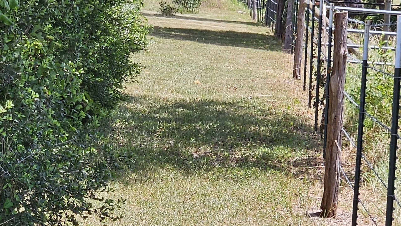 Photo of Outdoor in Country Properties