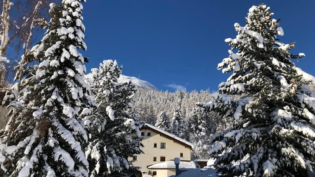Photo of Others in La Punt-Chamues-ch