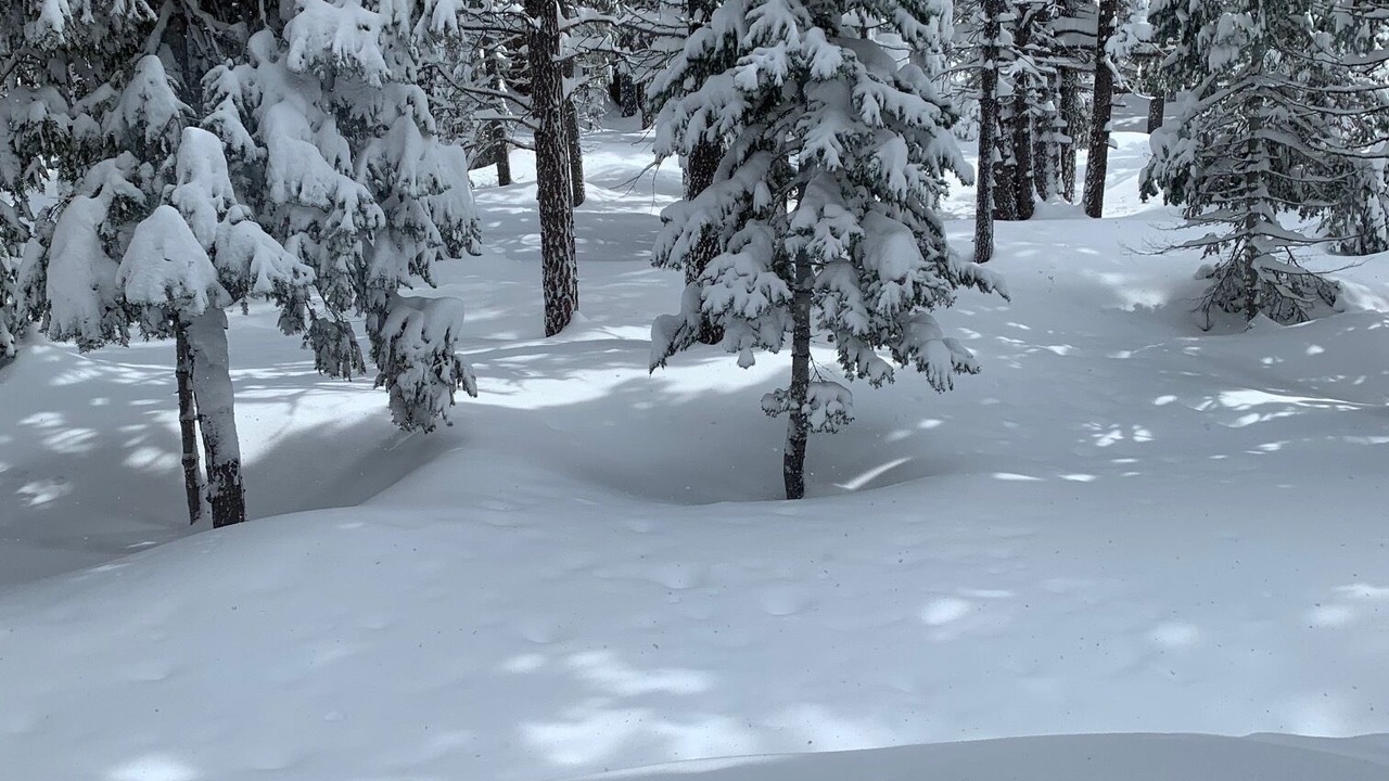Photo of Others in Truckee