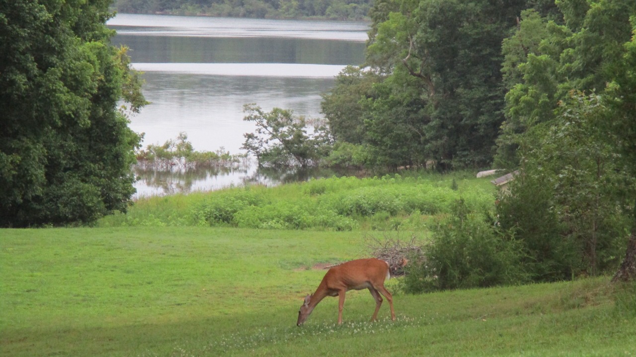 Photo of Outdoor in Gamaliel