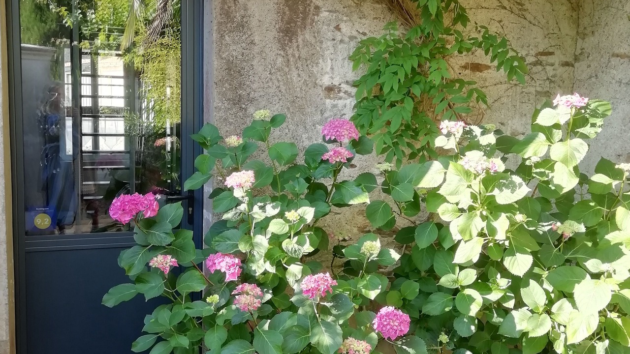Photo of Outdoor in Saint-Sebastien-sur-Loire