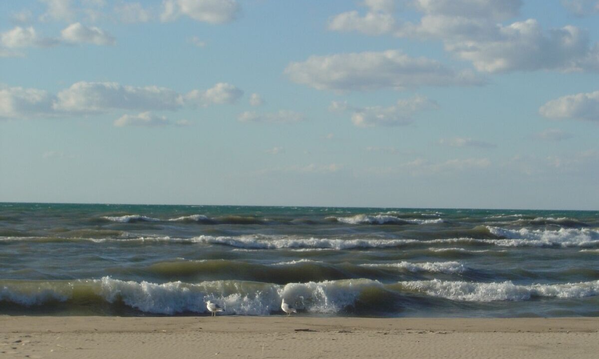 Photo of Others in Gordon Beach