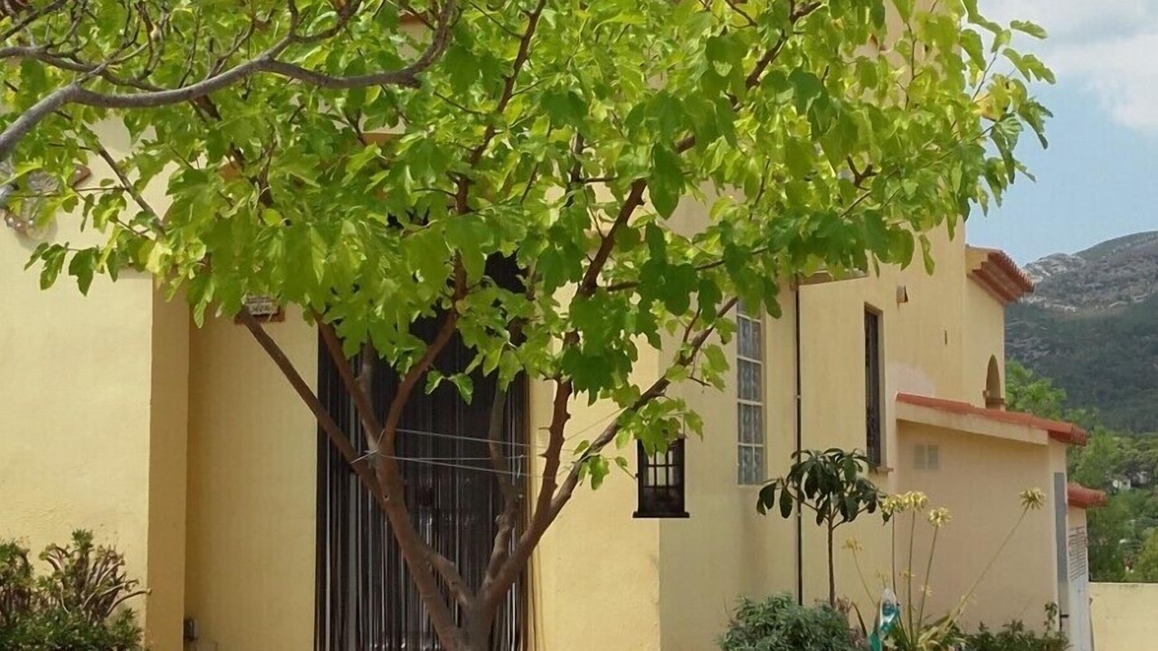Photo of Outdoor in Vandellos i l'Hospitalet de l'Infant