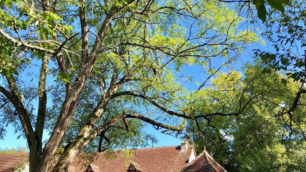 Photo of Outdoor in Camboulit