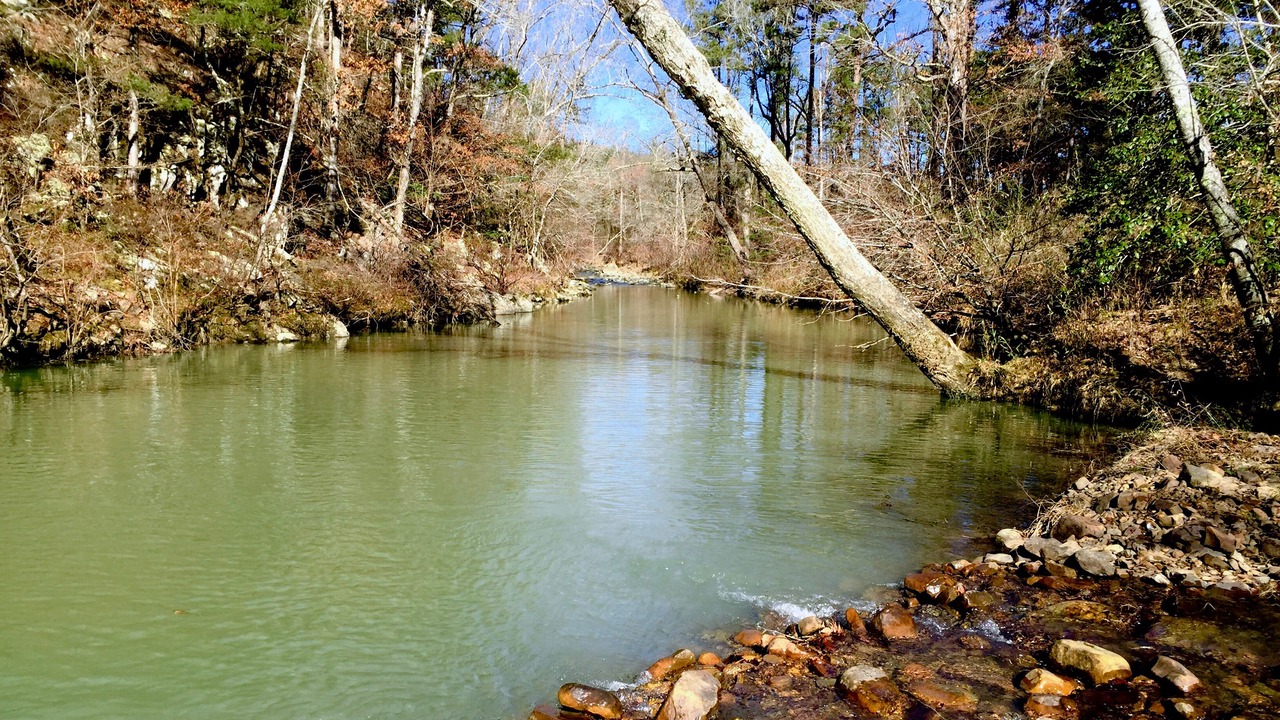 Photo of Outdoor in Smithville