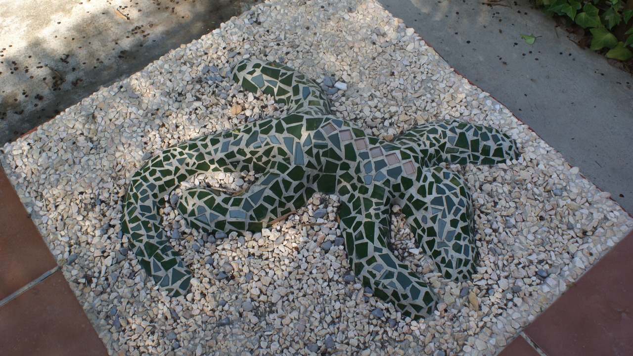 Photo of Outdoor in Pedralba