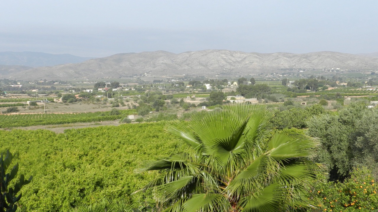 Photo of Others in Pedralba