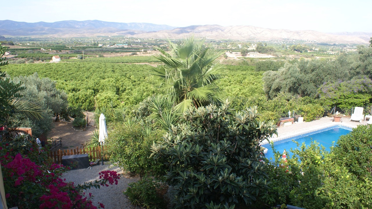 Photo of Others in Pedralba