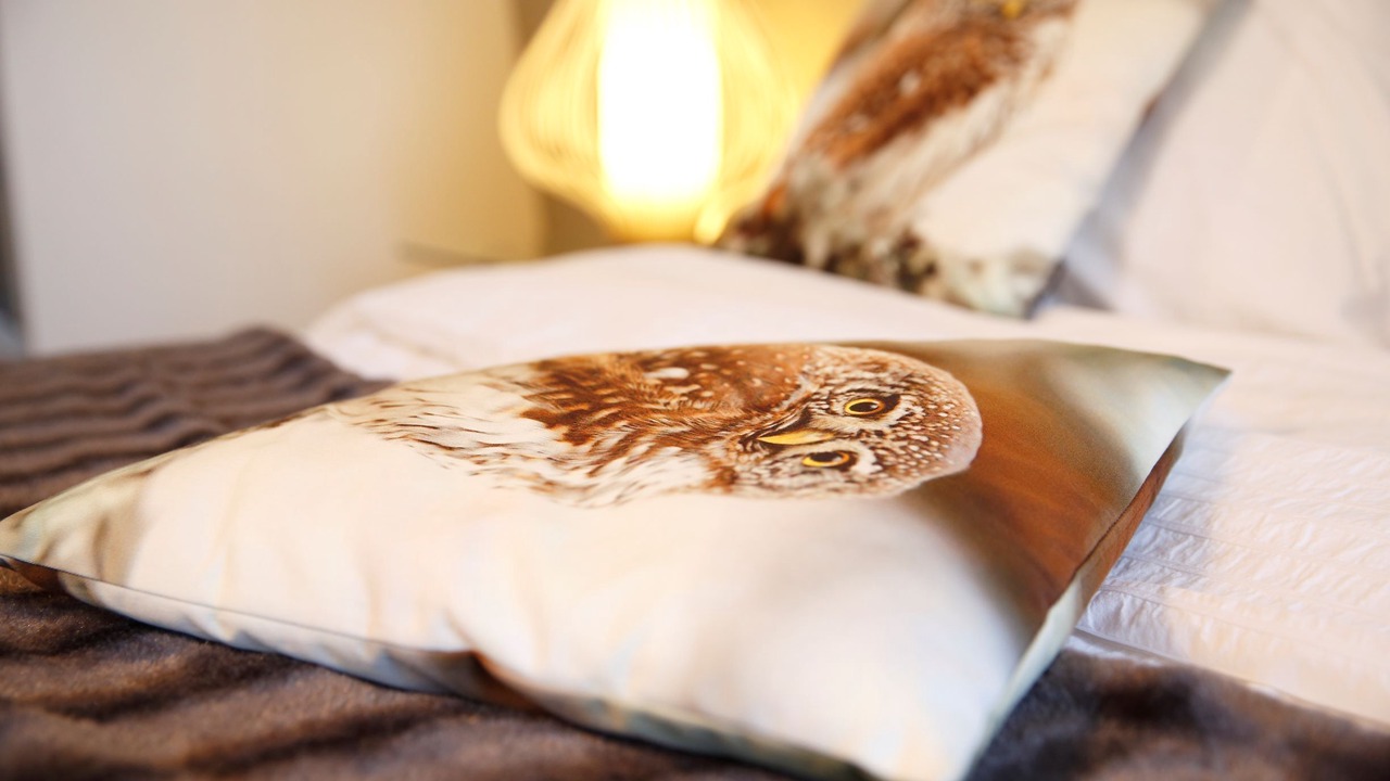 Photo of Bedroom in Chinon