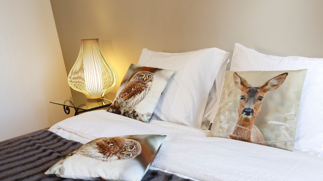 Photo of Bedroom in Chinon