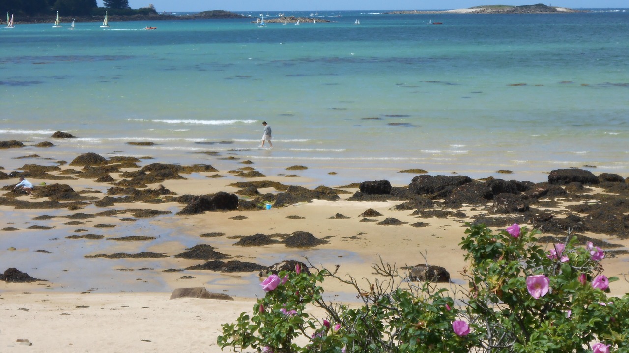Photo of Others in Lannion
