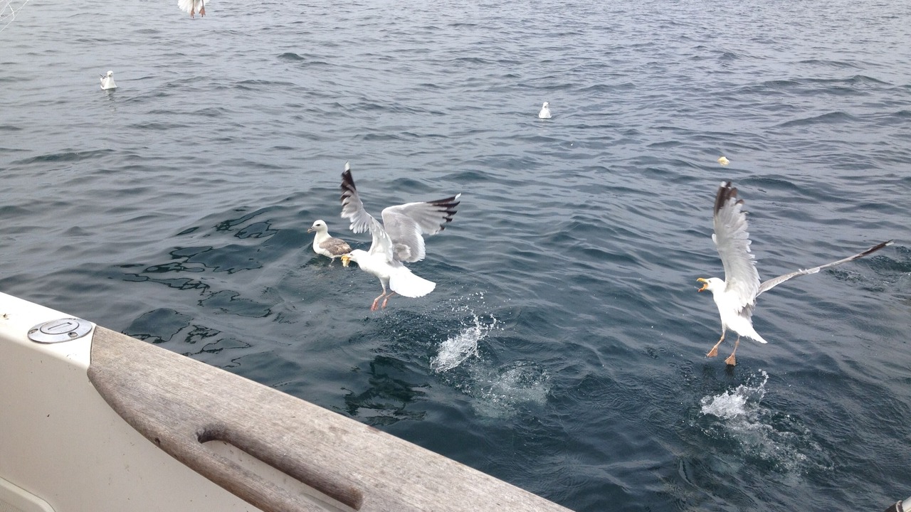 Photo of Others in Lannion