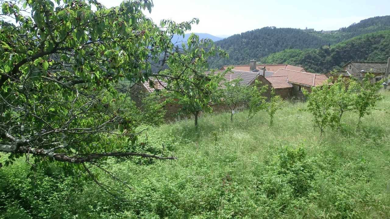 Photo of Outdoor in Malbosc