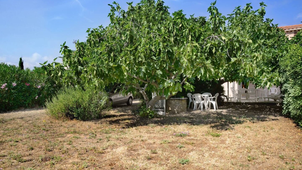 Photo of Outdoor in Sete