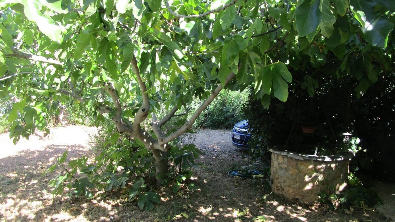 Photo of Outdoor in Sete