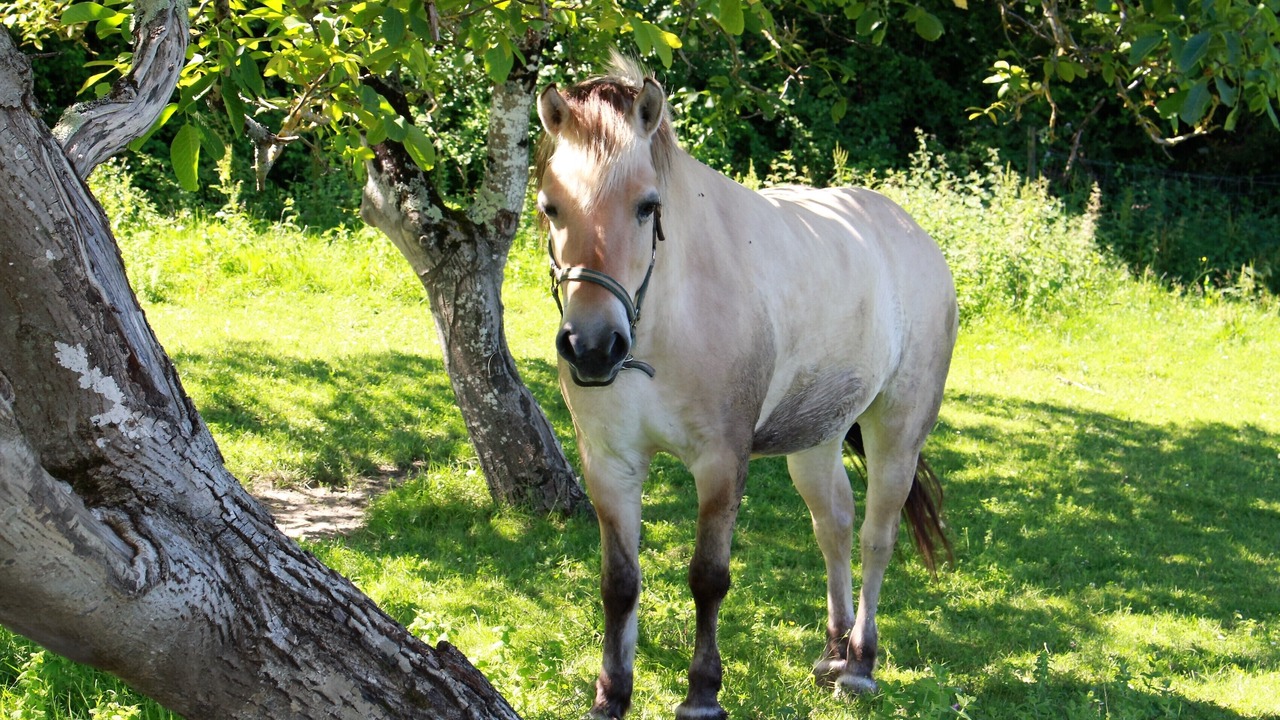 Photo of Outdoor in Monprimblanc