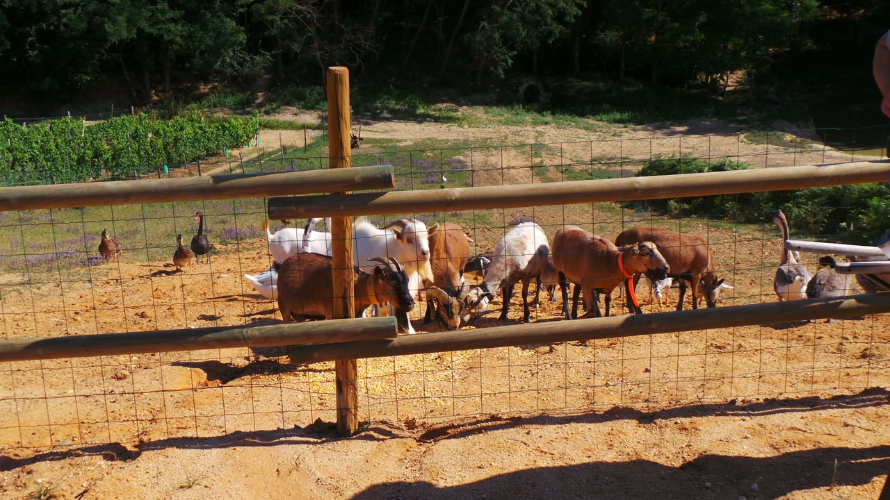 Photo of Others in Monprimblanc