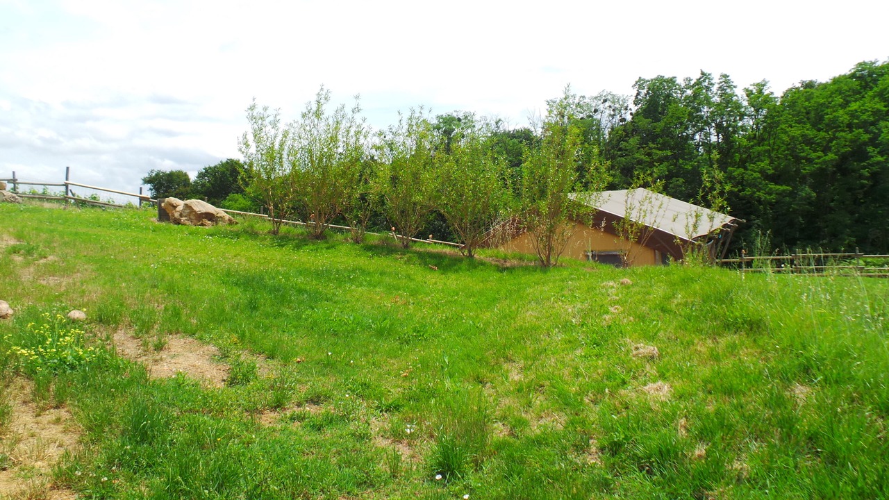 Photo of Outdoor in Monprimblanc