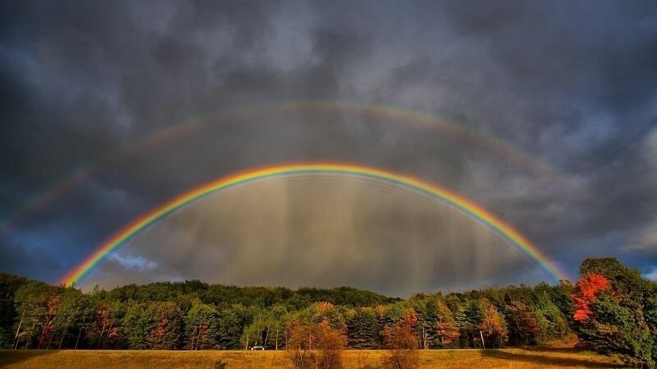 Photo of Others in Milford