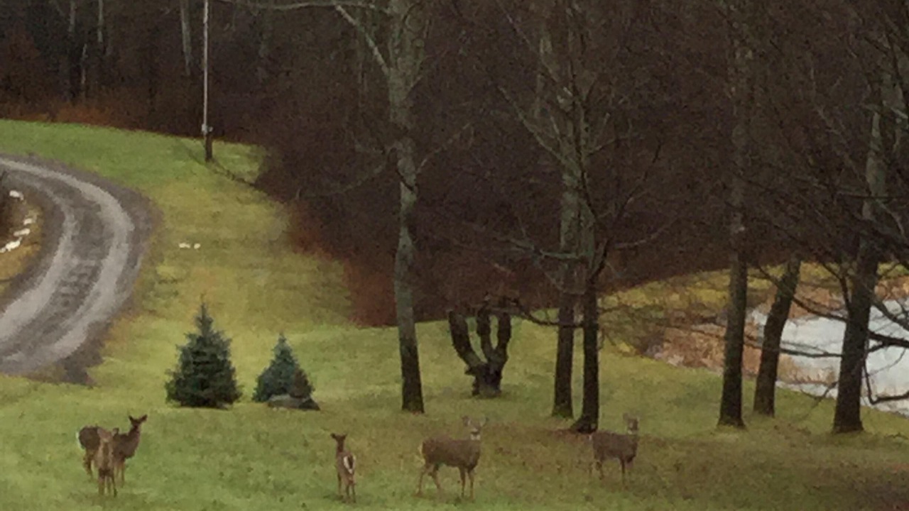 Photo of Others in Milford