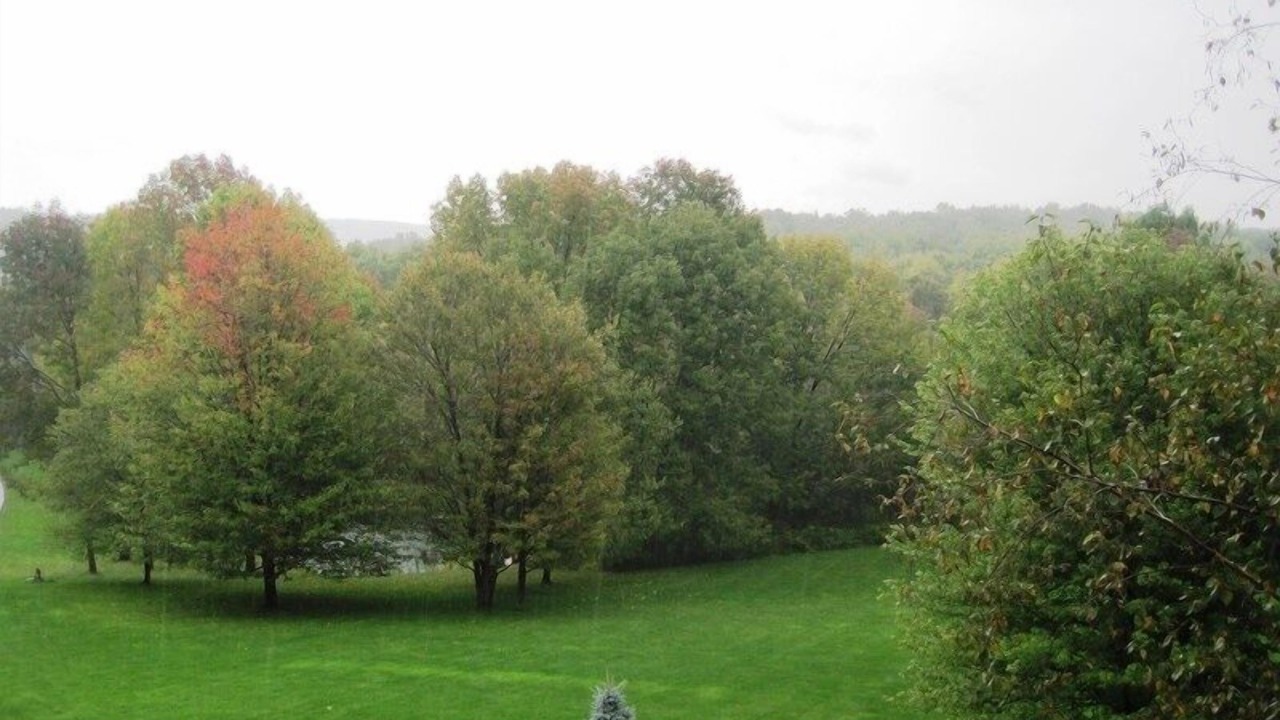 Photo of Outdoor in Milford