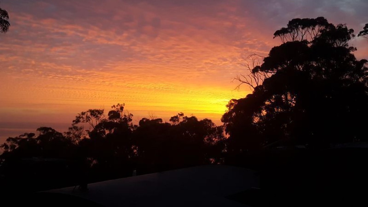 Photo of Others in Kennett River