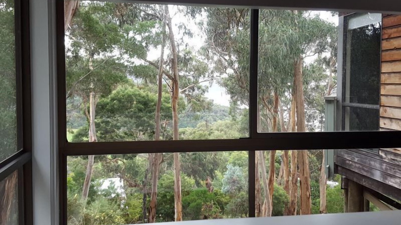 Photo of Others in Kennett River