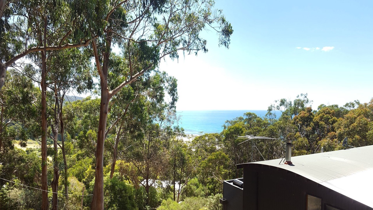 Photo of Others in Kennett River