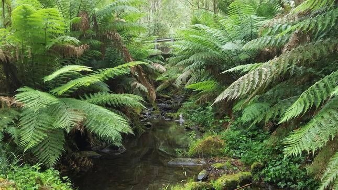 Photo of Outdoor in Kennett River