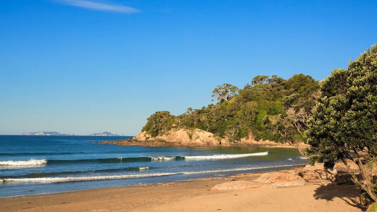 Photo of Others in Matapouri