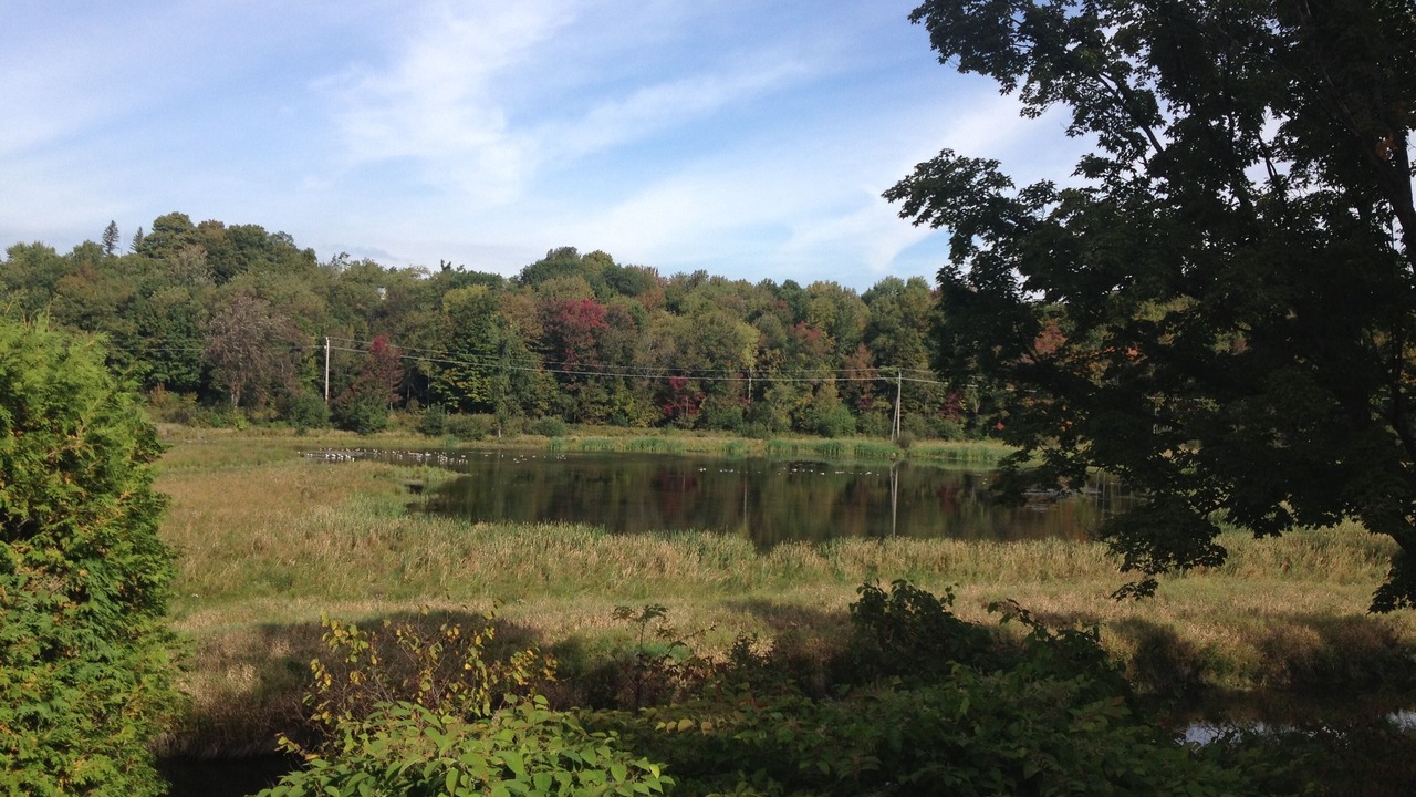 Photo of Outdoor in Knowlton