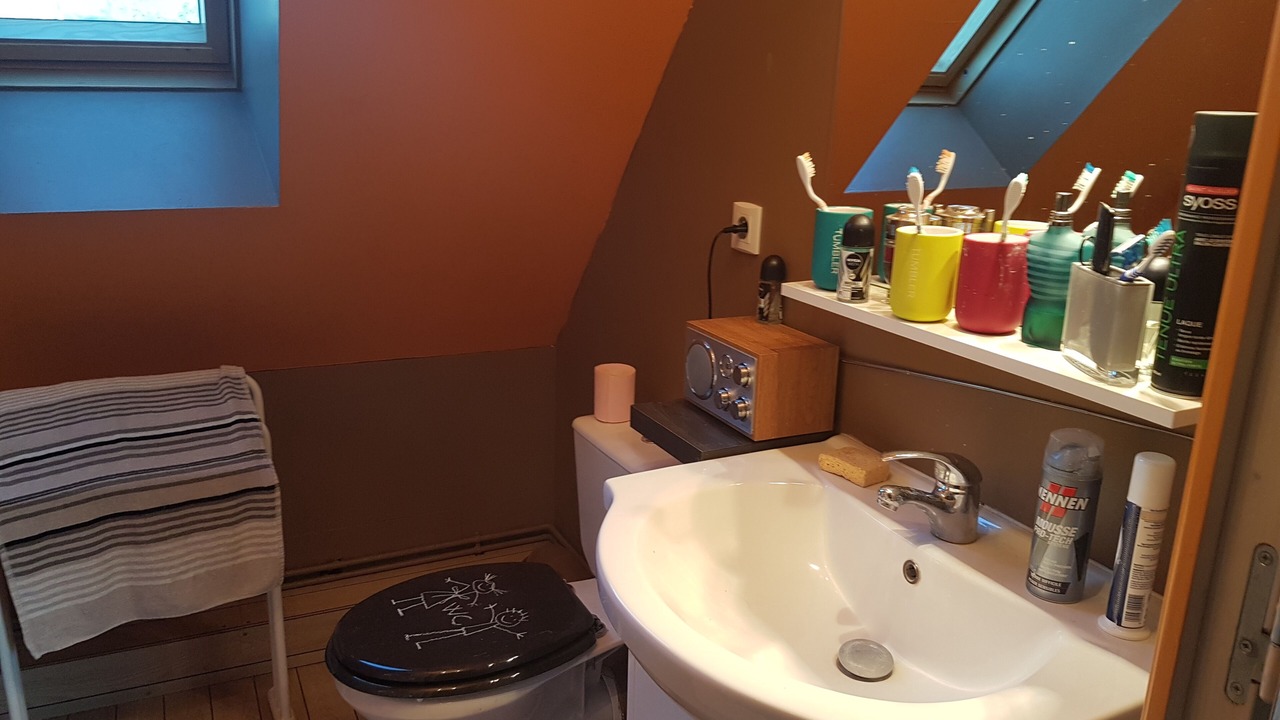 Photo of Bathroom in Torcy-le-Grand