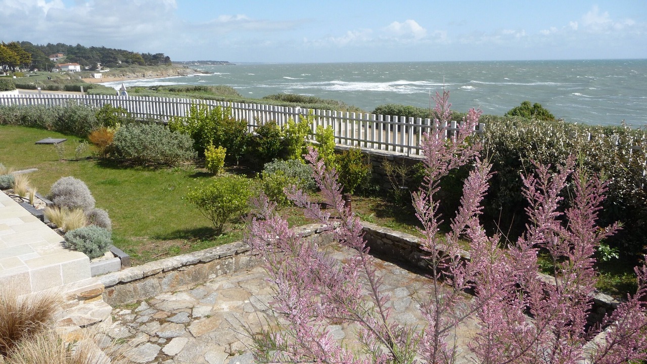 Photo of Outdoor in Prefailles