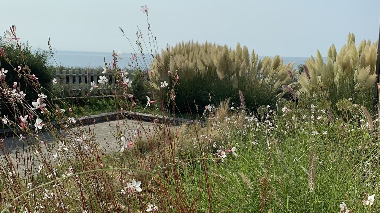 Photo of Outdoor in Prefailles