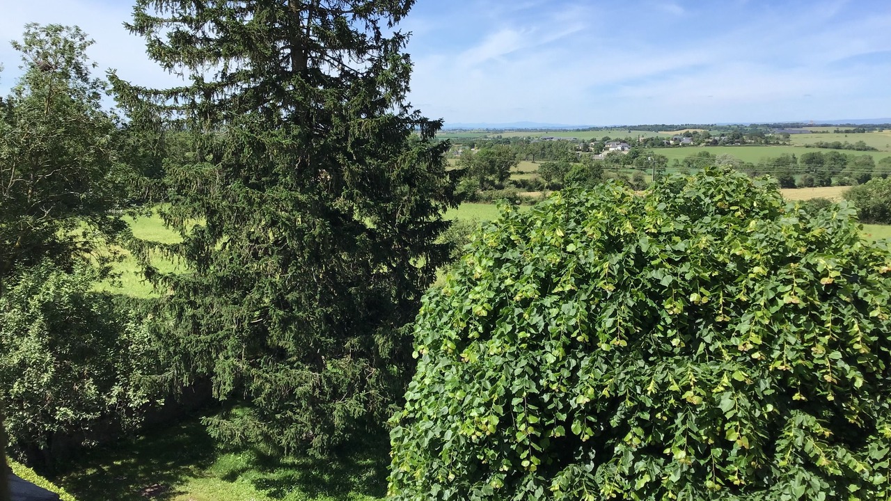 Photo of Outdoor in Flavin