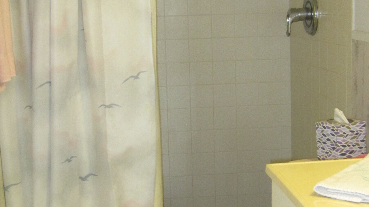 Photo of Bathroom in Sarasota