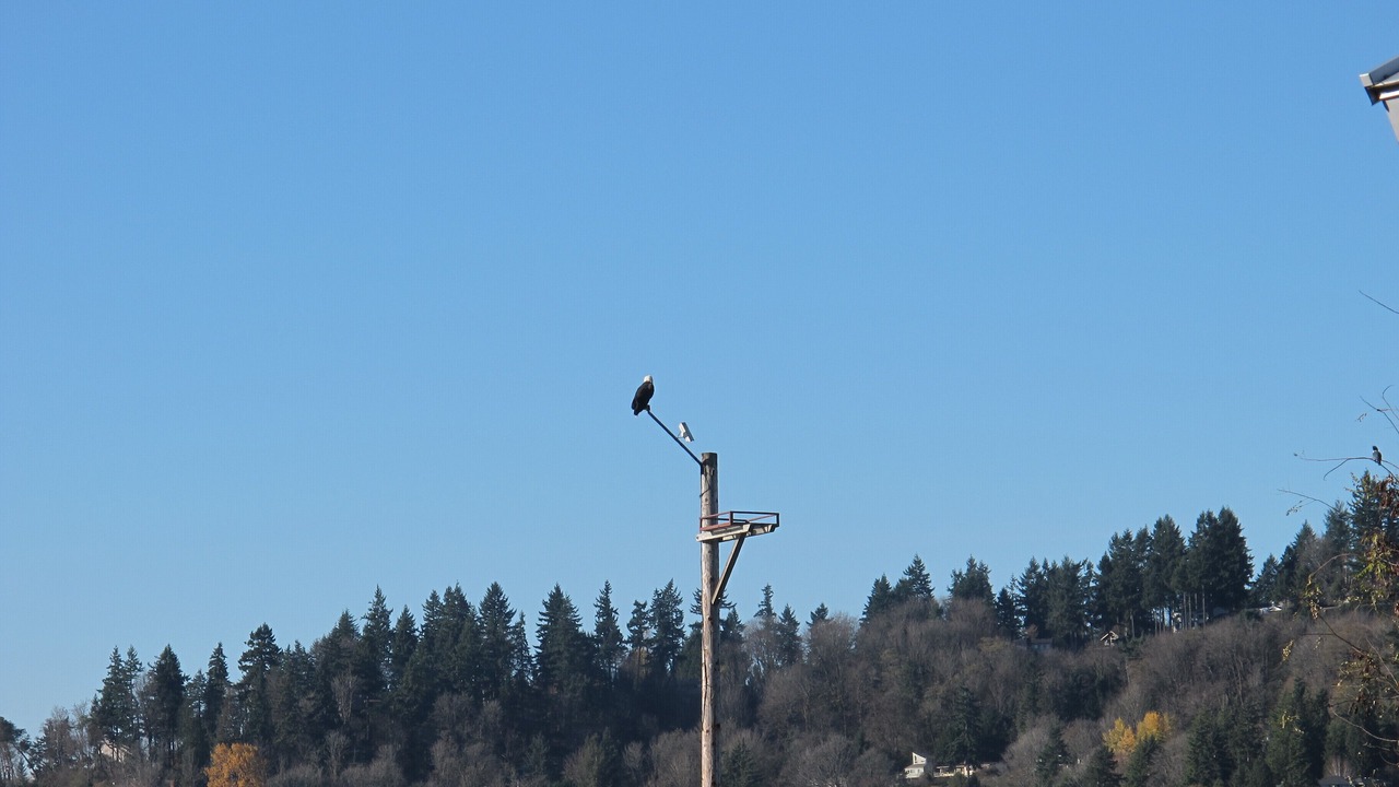 Photo of Others in Kennydale